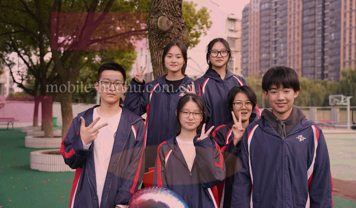 纵向排列的排查步骤示意图，四个编号节点由一条竖线串起，每个节点右侧标注对应动作